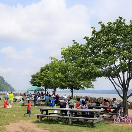 Picnics and grilling in the park