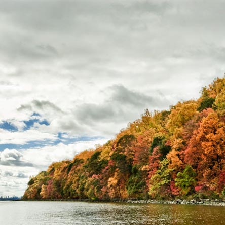 Palisades shoreline