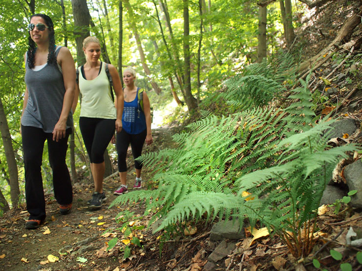 Hiking the Giant Stairs